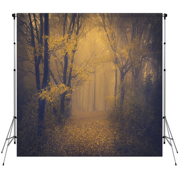 Mysterious Foggy Forest With A Fleece Backdrop