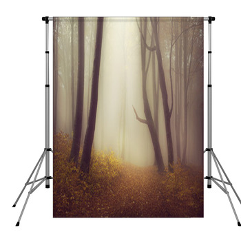 Mysterious Foggy Forest With A Pole Pocket Backdrop