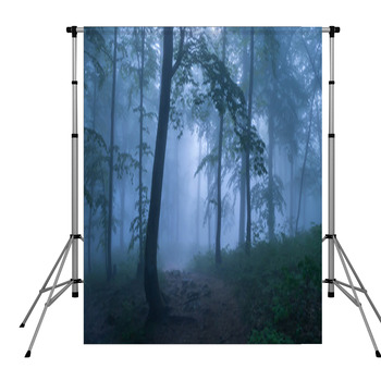 Mysterious Forest Pole Pocket Backdrop