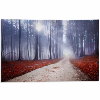Mystic Forest Road Area Rug
