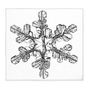 Natural Crystal Snowflake Macro Custom Size Floor Mat