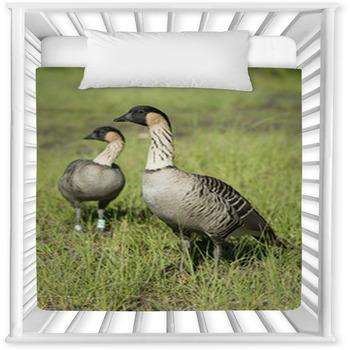 Nene Geese In Hawaii Baby Crib Comforter
