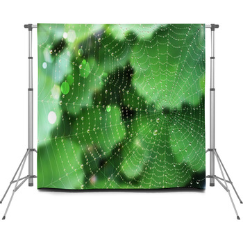Nest of spider Custom Size Backdrop