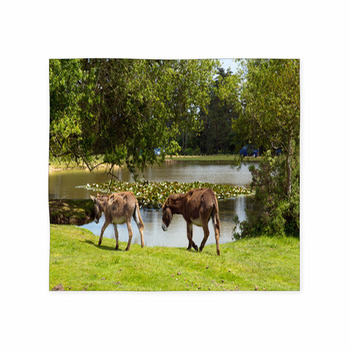 New Forest Donkies By Lake Custom Size Floor Mat
