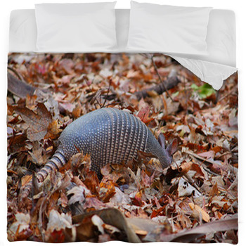 Nine-banded Armadillo (Dasypus Fleece Bed Blanket