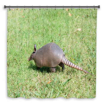 Nine-banded Armadillo Is The Custom Size Shower Curtain