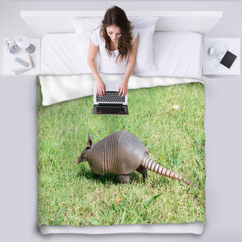 Nine-banded Armadillo Is The Lawn Fleece Blanket