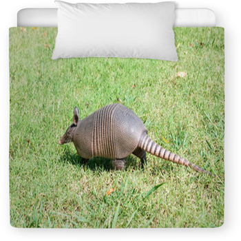 Nine-banded Armadillo Is The Lawn Toddler Comforter