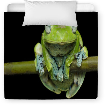 Nurhayati Flying Frog, (Rhacophorus Toddler Duvet