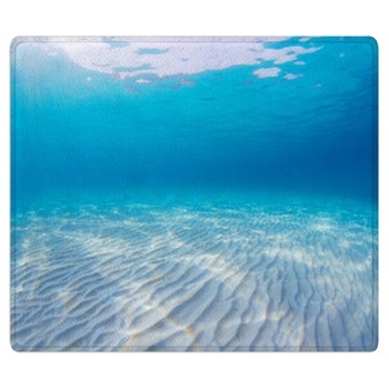 Ocean Rugs