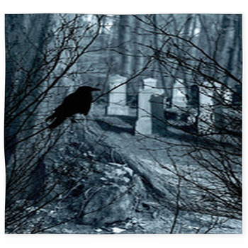  Old Gravestones And Black Raven Custom Size Floor Mat