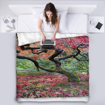 Old Japanese Red Laced Maple Tree In Fall  Fleece Blanket