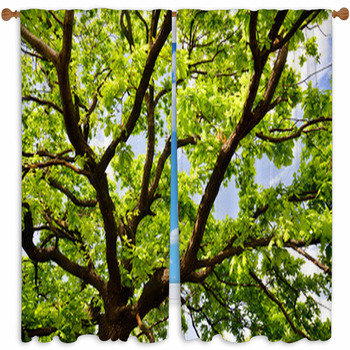 Old Oak Branches Custom Size Window Curtain
