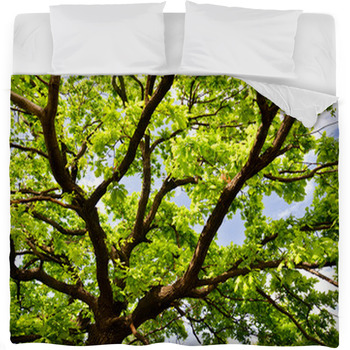 Old Oak Branches Fleece Bed Blanket