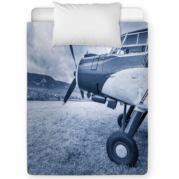 Old Retro Plane Toddler Comforter