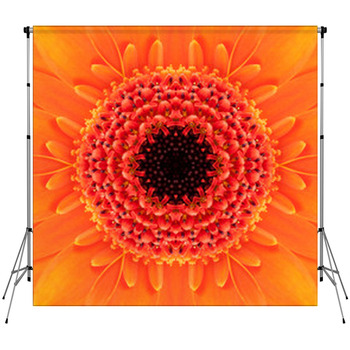 Orange Concentric Flower Center. Custom Size Backdrop