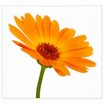 Orange Daisy Flower With Petals Custom Size Floor Mat