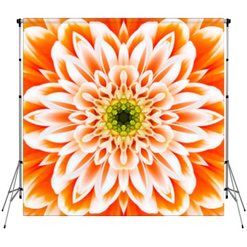 Orange Floral Backdrops
