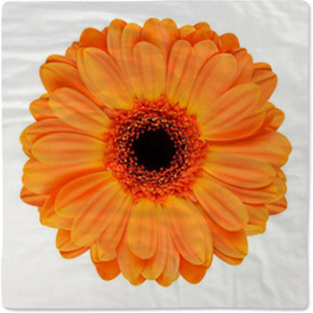 Orange Gerbera Flower Isolated On White Baby Blanket