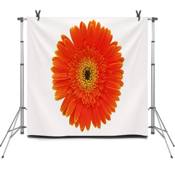 Orange Gerbera On The White Background Fleece Backdrop