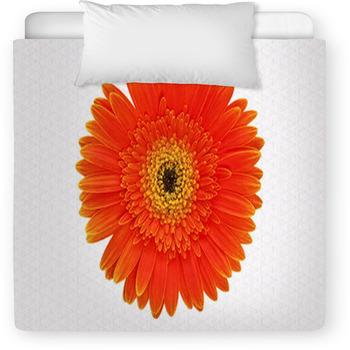 Orange Gerbera On The White Background Toddler Comforter