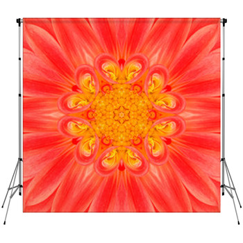 Orange Mandala Flower. Concentric Custom Size Backdrop