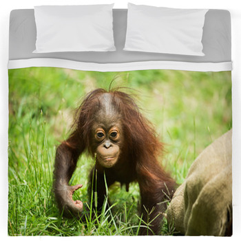 Orangutan Graffiti Colourful Doona Cover Set with 2x Matching Pillowcases