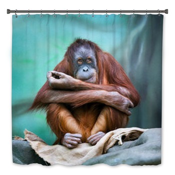 Orangutan Bath Decor
