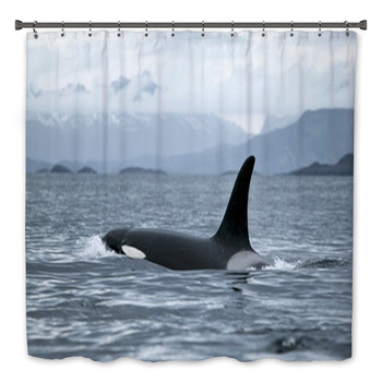 Orca Bath Decor