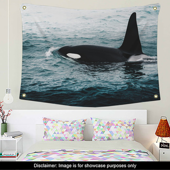 3D Killer Whale A202 Tapestry Hanging Cloth Hang Wallpaper Mural Photo Zoe