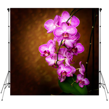Orchid Custom Size Backdrop
