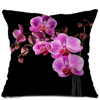Orchid Pillows