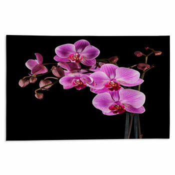 Orchid Rugs