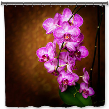 Orchid Shower Curtain