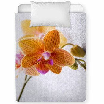 Orchid. Toddler Comforter