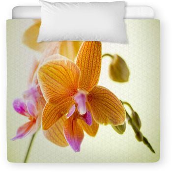 Orchid. Toddler Duvet