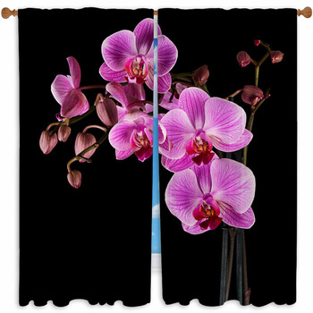 Orchid Window Curtains
