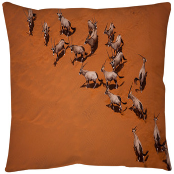 Novelty Animal Design Throw Pillow CRAZEELEBAH INC Antelope Looking at You 16x16 Multicolor 