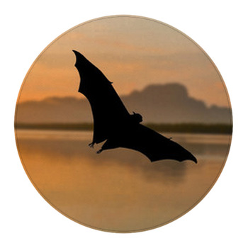 Bat Rugs & Custom Size Floor Mats