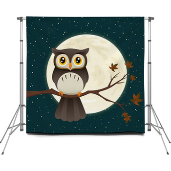 Owl At Night Custom Size Backdrop