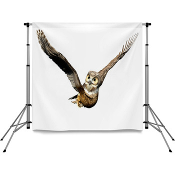 Owl Casual Flight Pole Pocket Backdrop