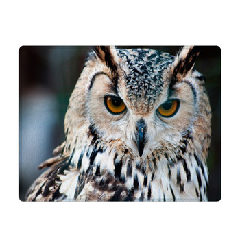 Owl Close Up Portrait Bath Mat