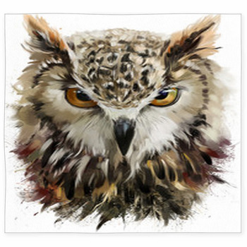 Owl Area Rugs & Custom Size Floor Mats