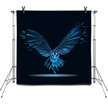 Owl Fleece Backdrop