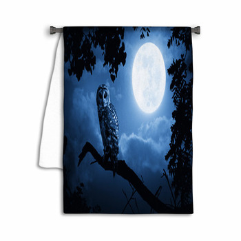 Owl Illuminated By Full Moon On Halloween Night Towel
