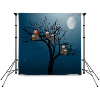 Owls At Night Vector Pole Pocket Backdrop