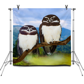Owls  On Tree Fleece Backdrop
