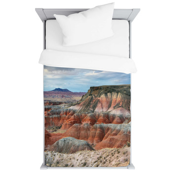 Painted Desert, Petrified Forest National  Toddler Duvet