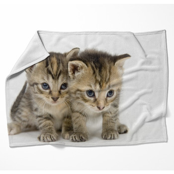 Pair Of Kittens On White Backgroun Woven Throw Blanket