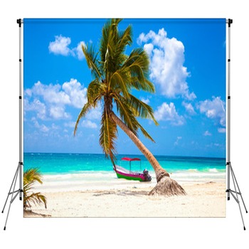 Palm Tree Backdrops